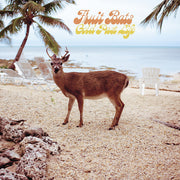 Fruit Bats – Gold Past Life (LP Vinyl)