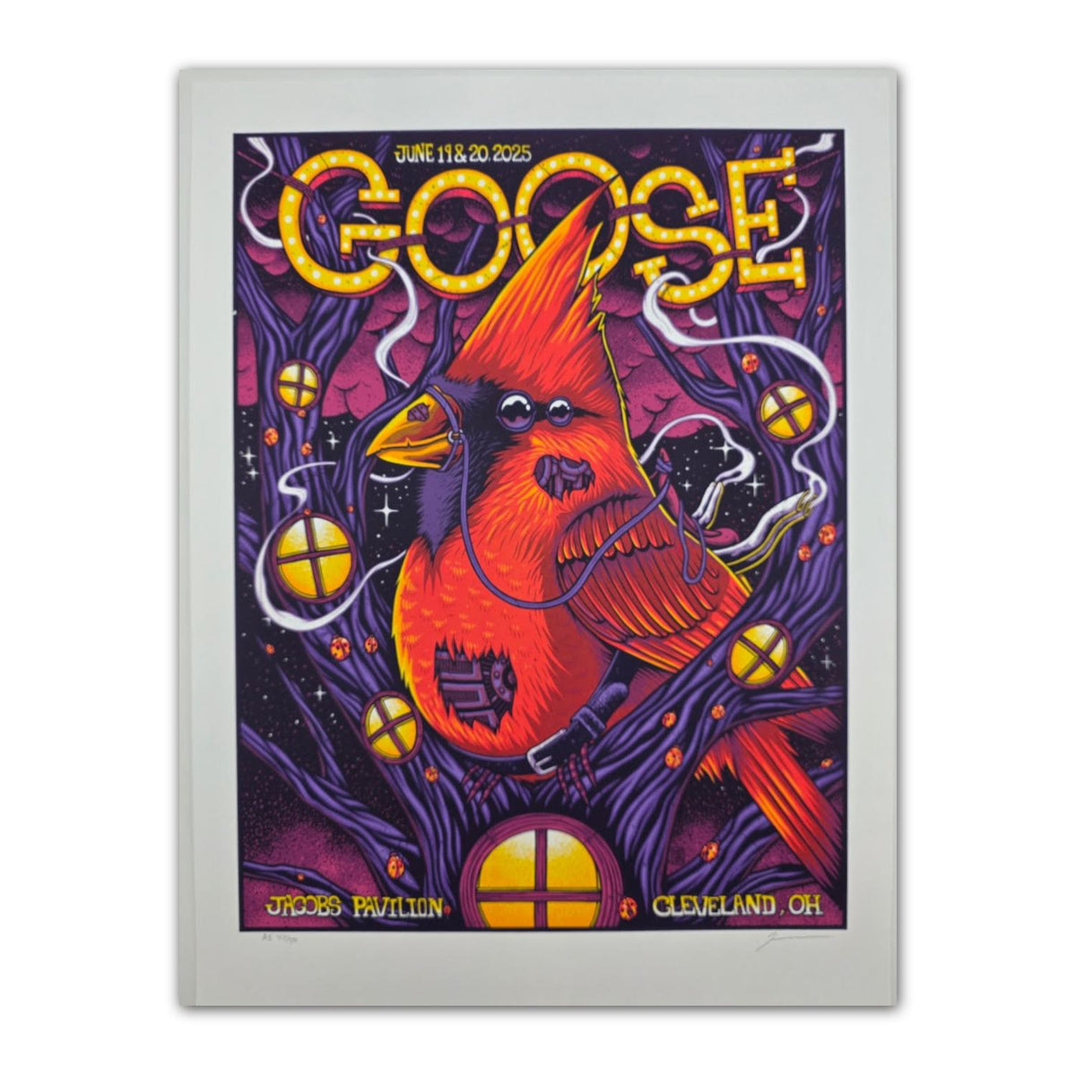 Goose - Cleveland, OH 2025 Poster by Mazza