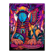 Goose - Los Angeles 2022 Poster by Munk One