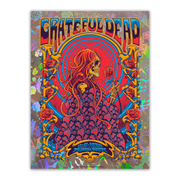 Grateful Dead (11/6/1970) by ZazzCorp - 3 Poster Bundle