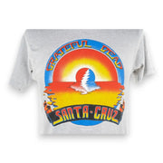 Grateful Dead 1983 Alton Kelly Santa Cruz T-Shirt