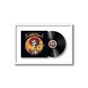 Grateful Dead - Best of the Grateful Dead: 1967-1977, Vol. 1 (Framed Vinyl)