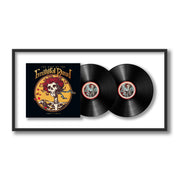 Grateful Dead - Best of the Grateful Dead: 1967-1977, Vol. 1 (Framed Vinyl)