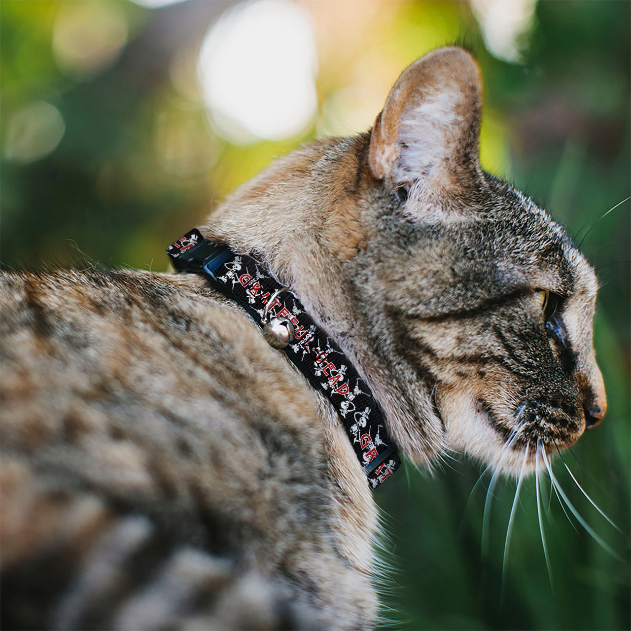 Grateful Dead Breakaway Cat Collar | Black Text + Dancing Skeletons (with Bell)