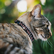 Grateful Dead Breakaway Cat Collar | Black Text + Dancing Skeletons (with Bell)