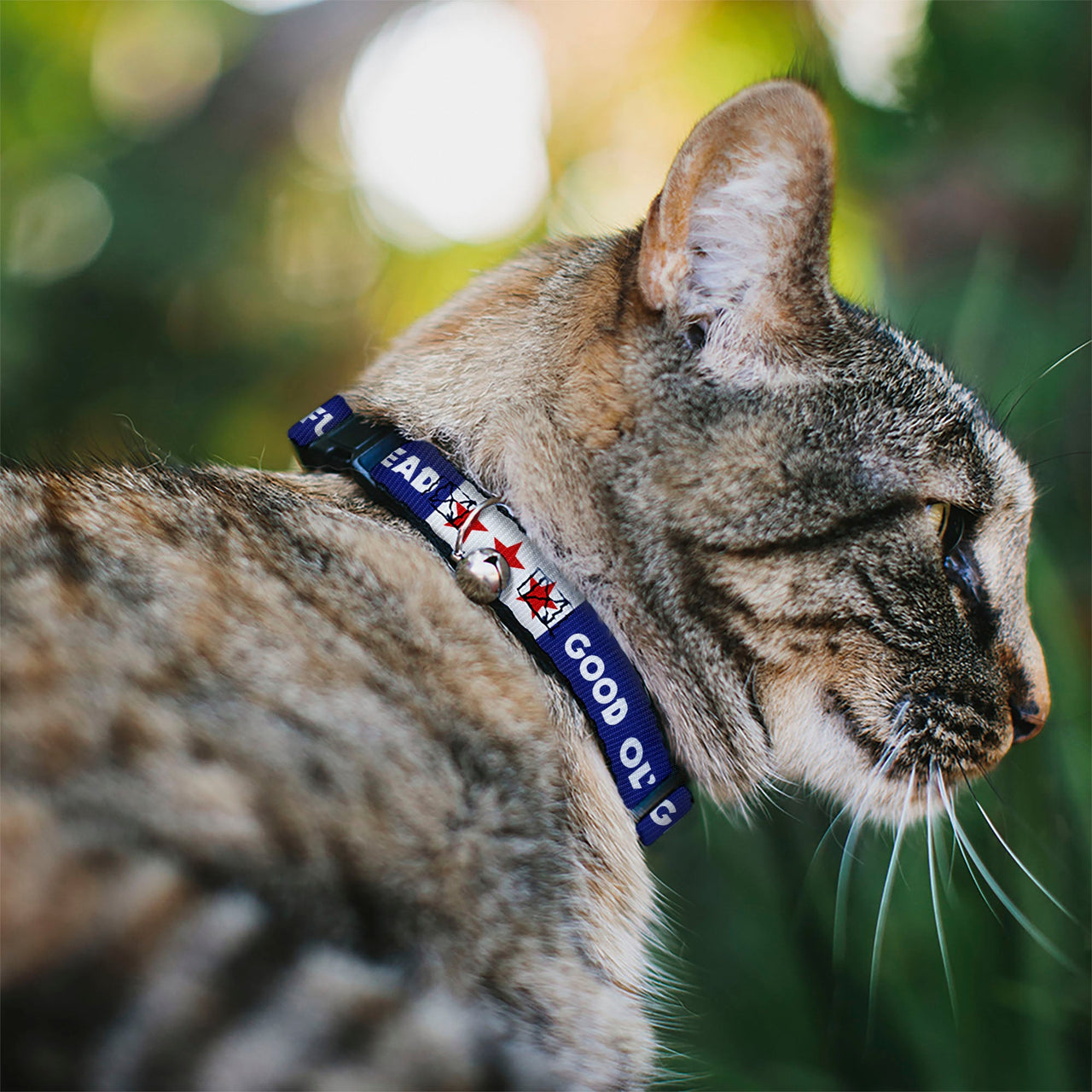 Grateful Dead Breakaway Cat Collar | Blue/White "Good Ol' Grateful Dead" Text + Stars (with Bell)