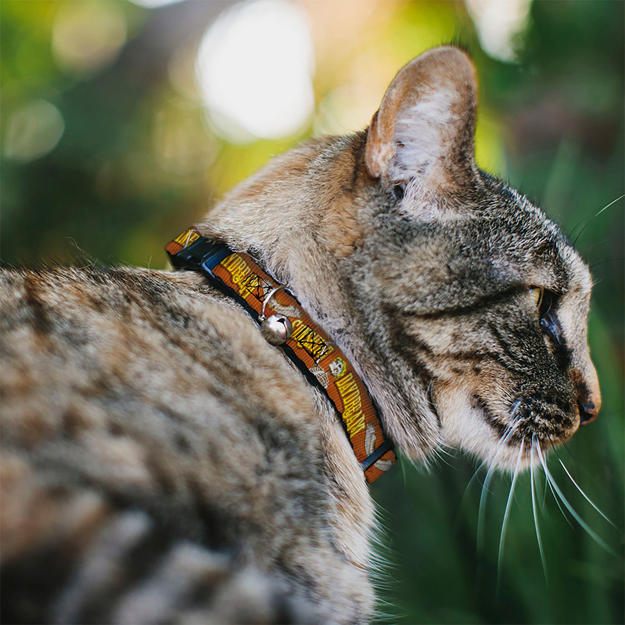 Grateful Dead Breakaway Cat Collar | Orange Sunshine Daydream (with Bell)