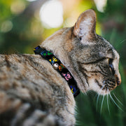 Grateful Dead Breakaway Cat Collar | Rainbow Dancing Bears (with Bell)
