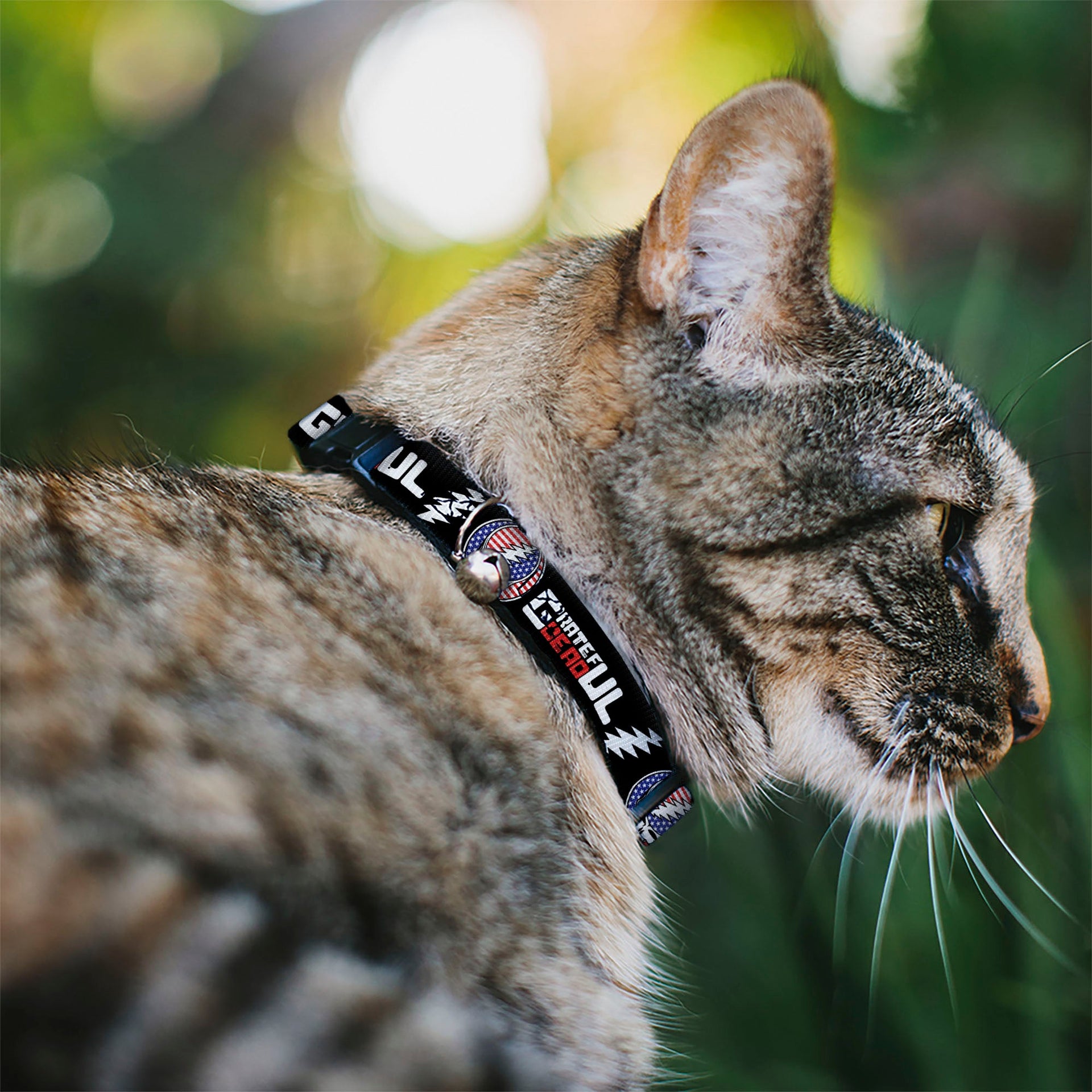 Grateful Dead Breakaway Cat Collar | Stars & Stripes + Text (with Bell)