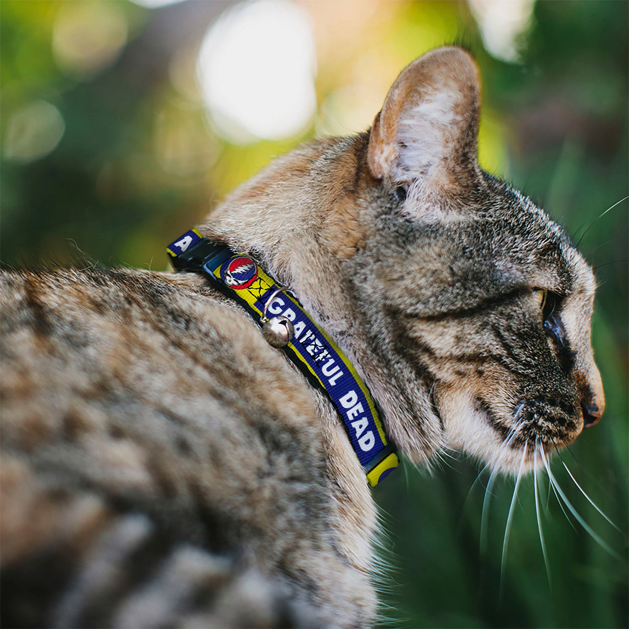 Grateful Dead Breakaway Cat Collar | Yellow Text + Steal Your Face (with Bell)