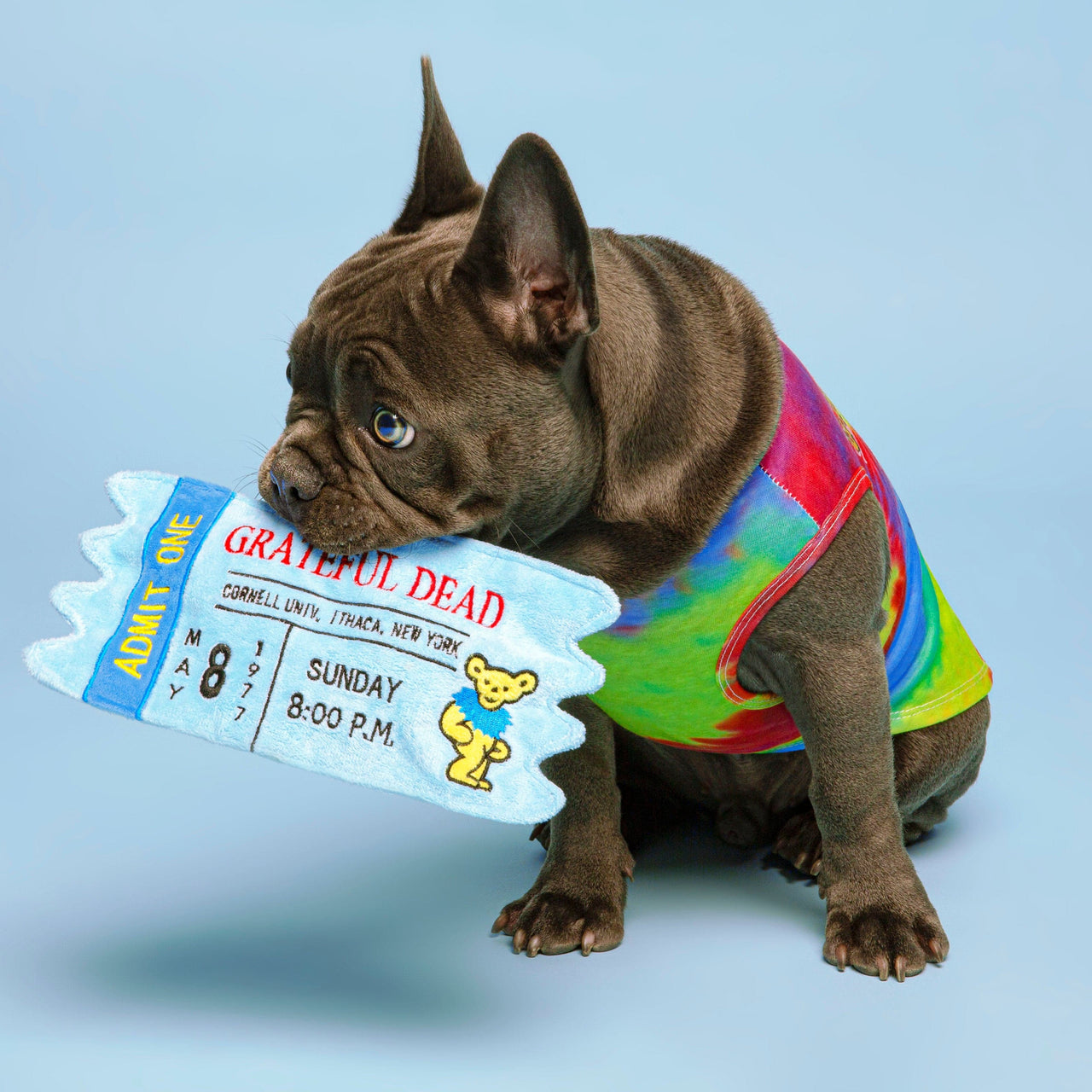 Grateful Dead Cornell ‘77 Concert Ticket Dog Toy