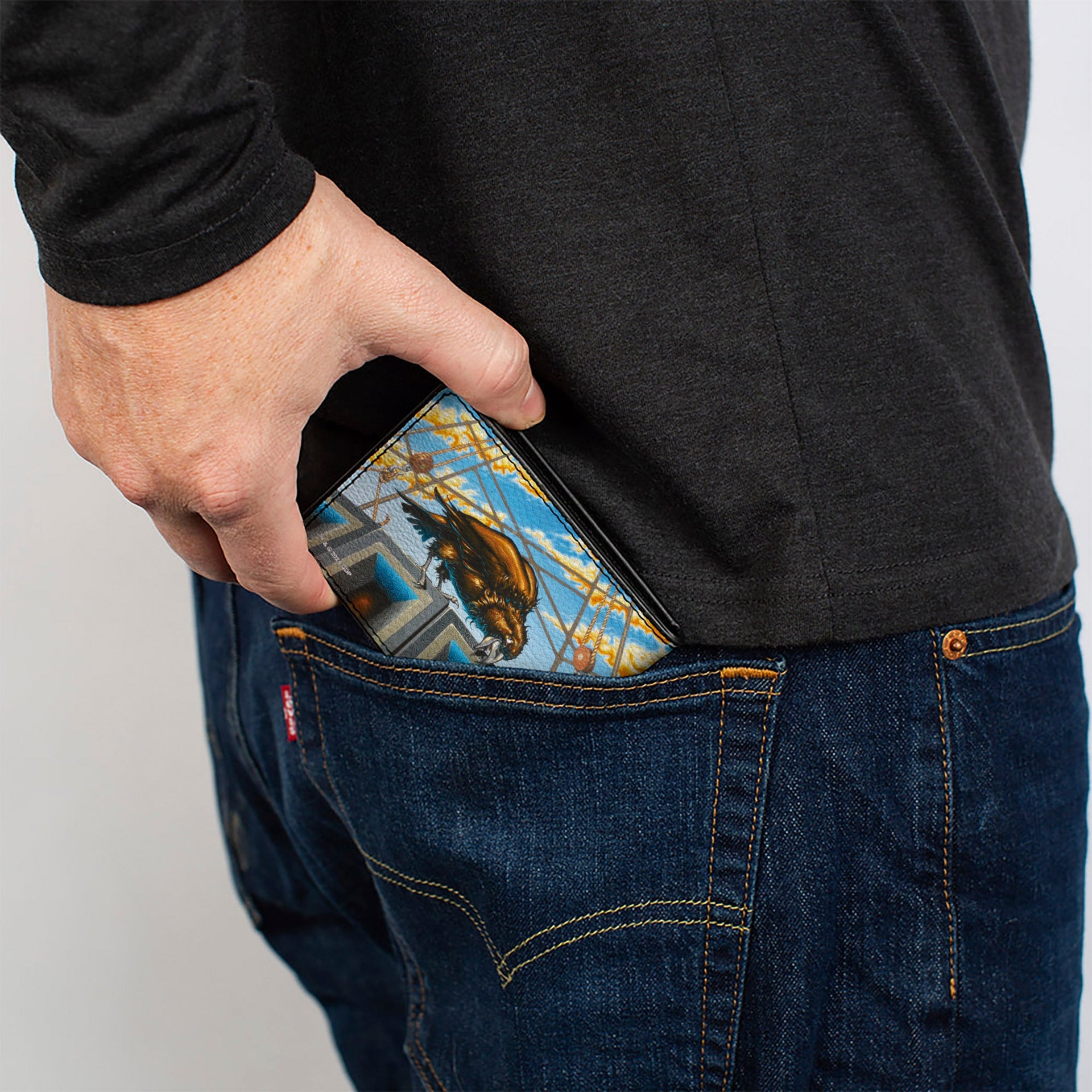 Grateful Dead Dave’s Picks Bi-Fold Wallet | Vol. 2 - Hartford