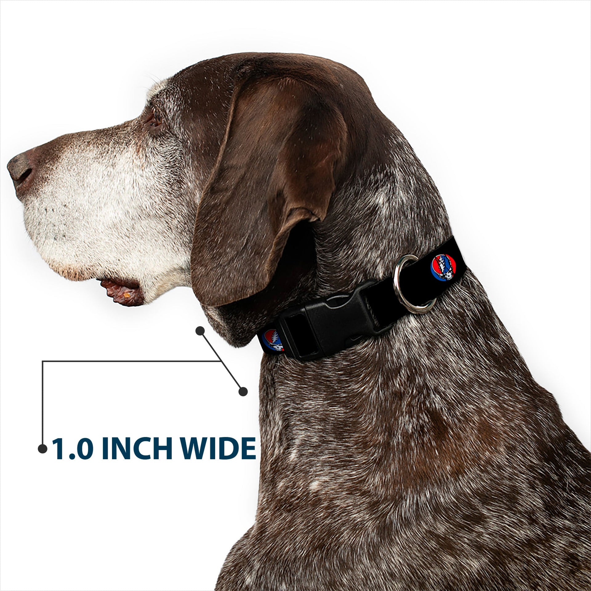 Grateful Dead Dog Collar | Black Steal Your Face