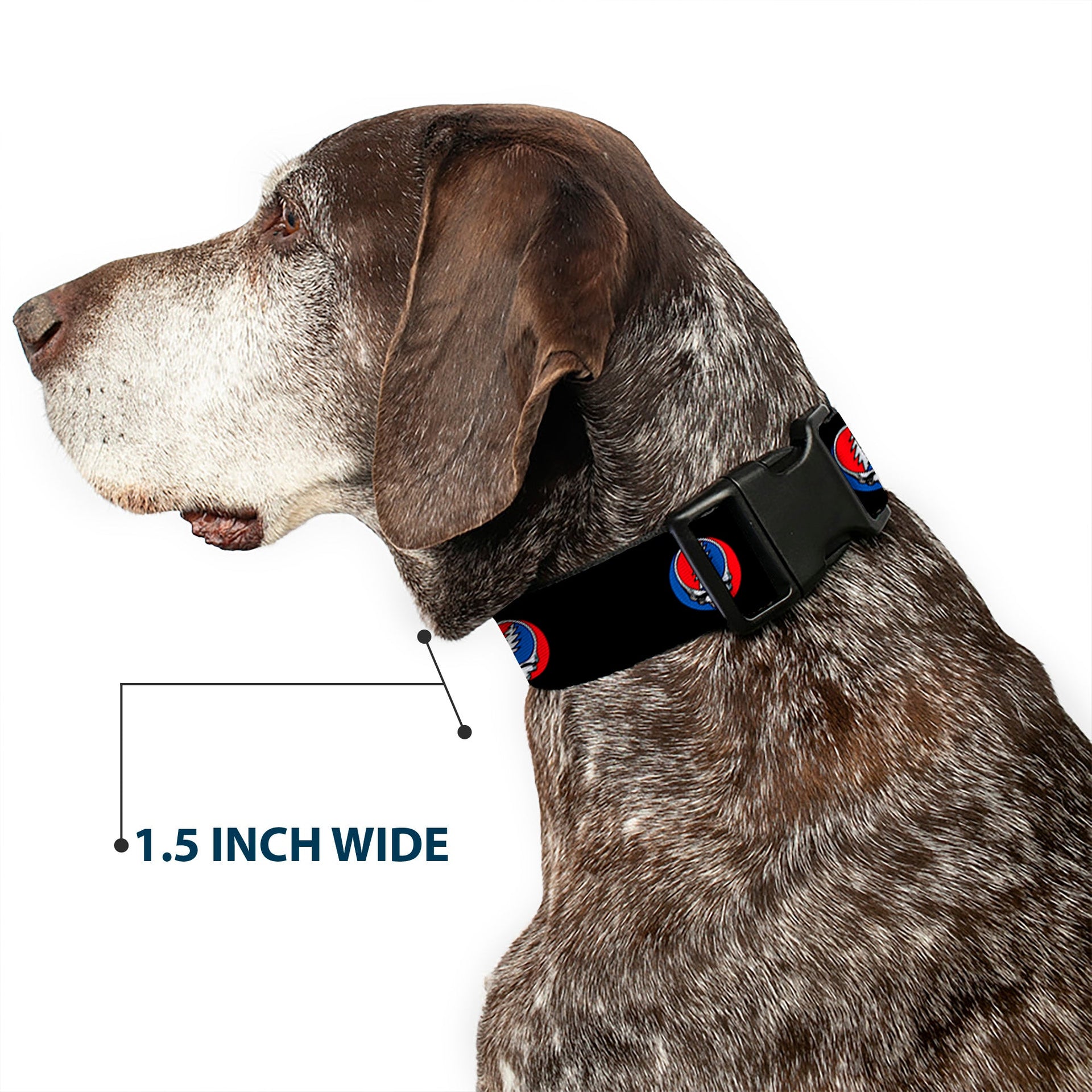 Grateful Dead Dog Collar | Black Steal Your Face