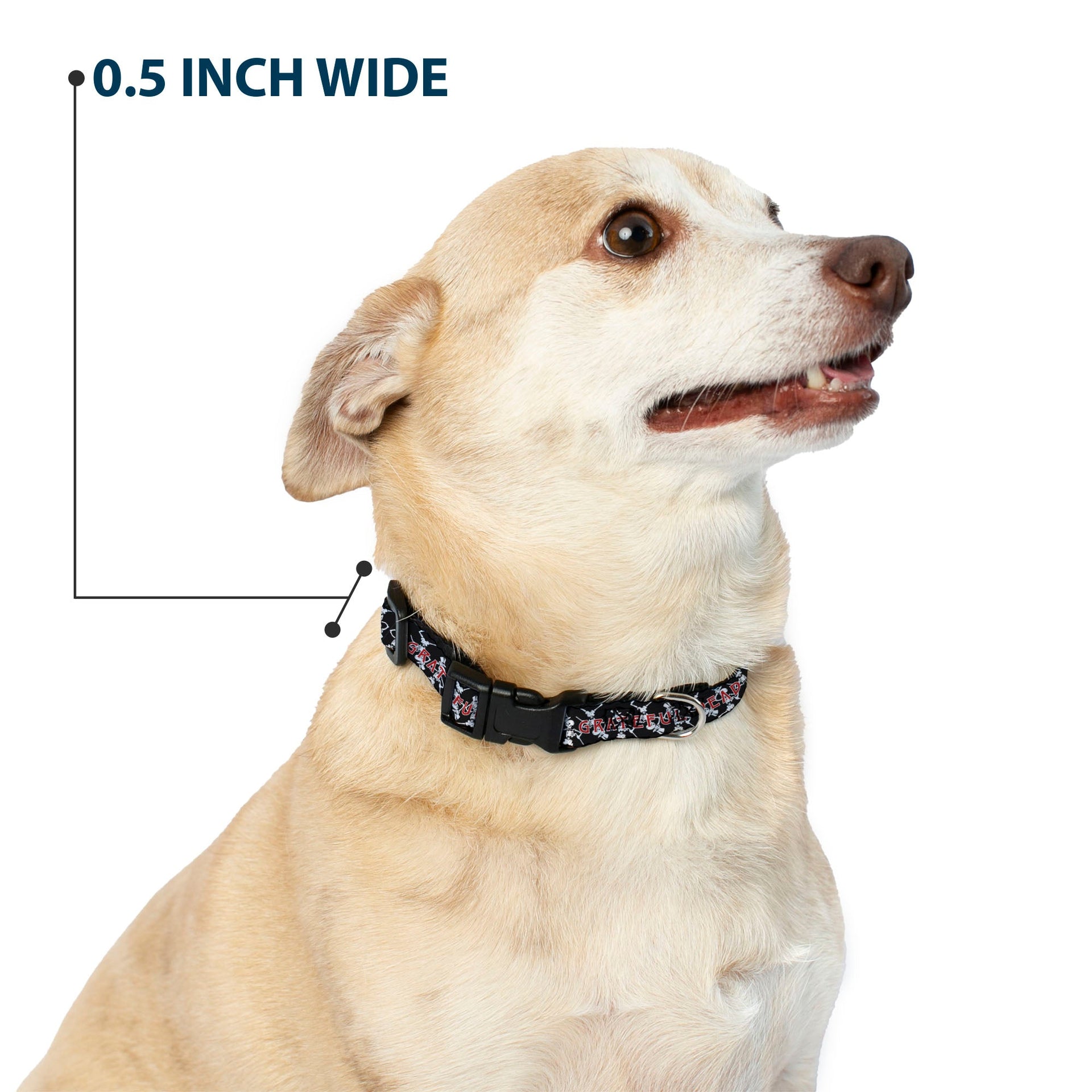Grateful Dead Dog Collar | Black Text + Dancing Skeletons