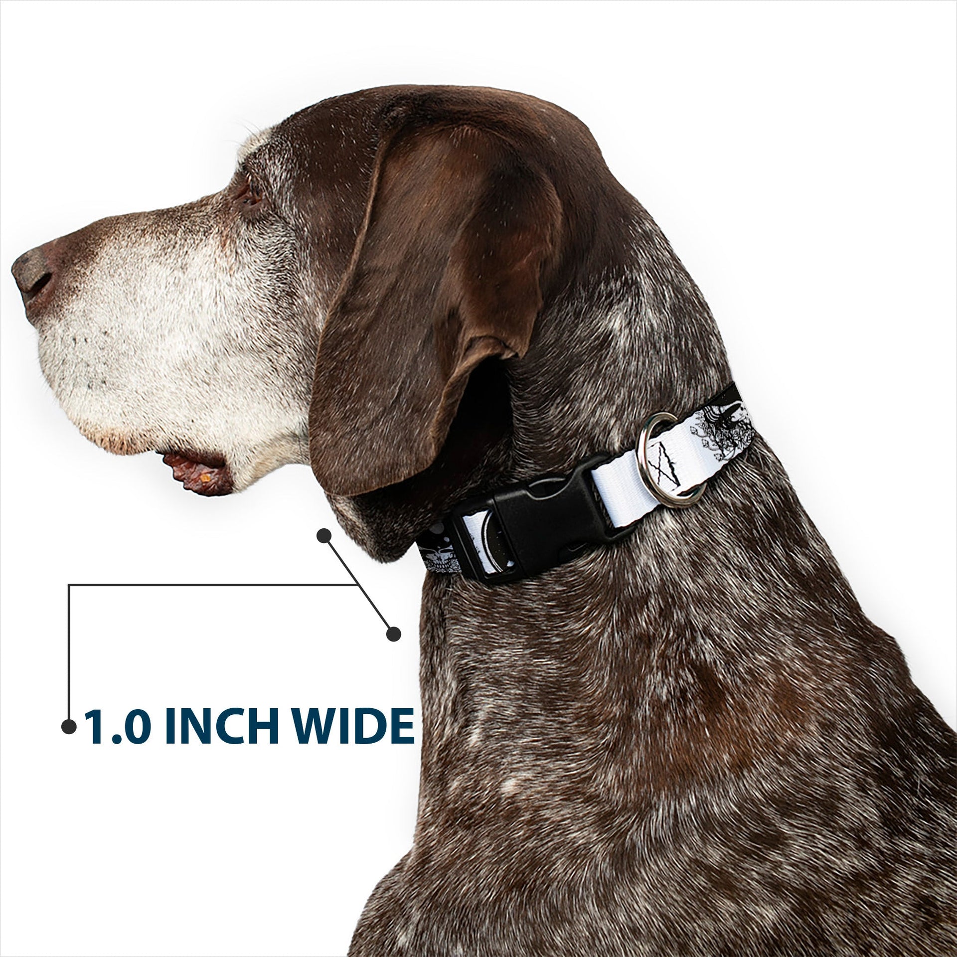Grateful Dead Dog Collar | Black/White Space Your Face