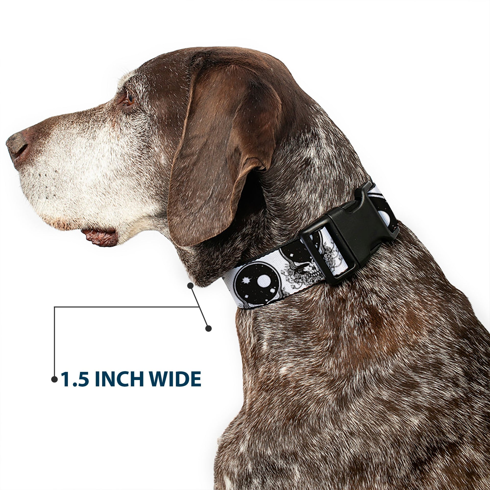 Grateful Dead Dog Collar | Black/White Space Your Face