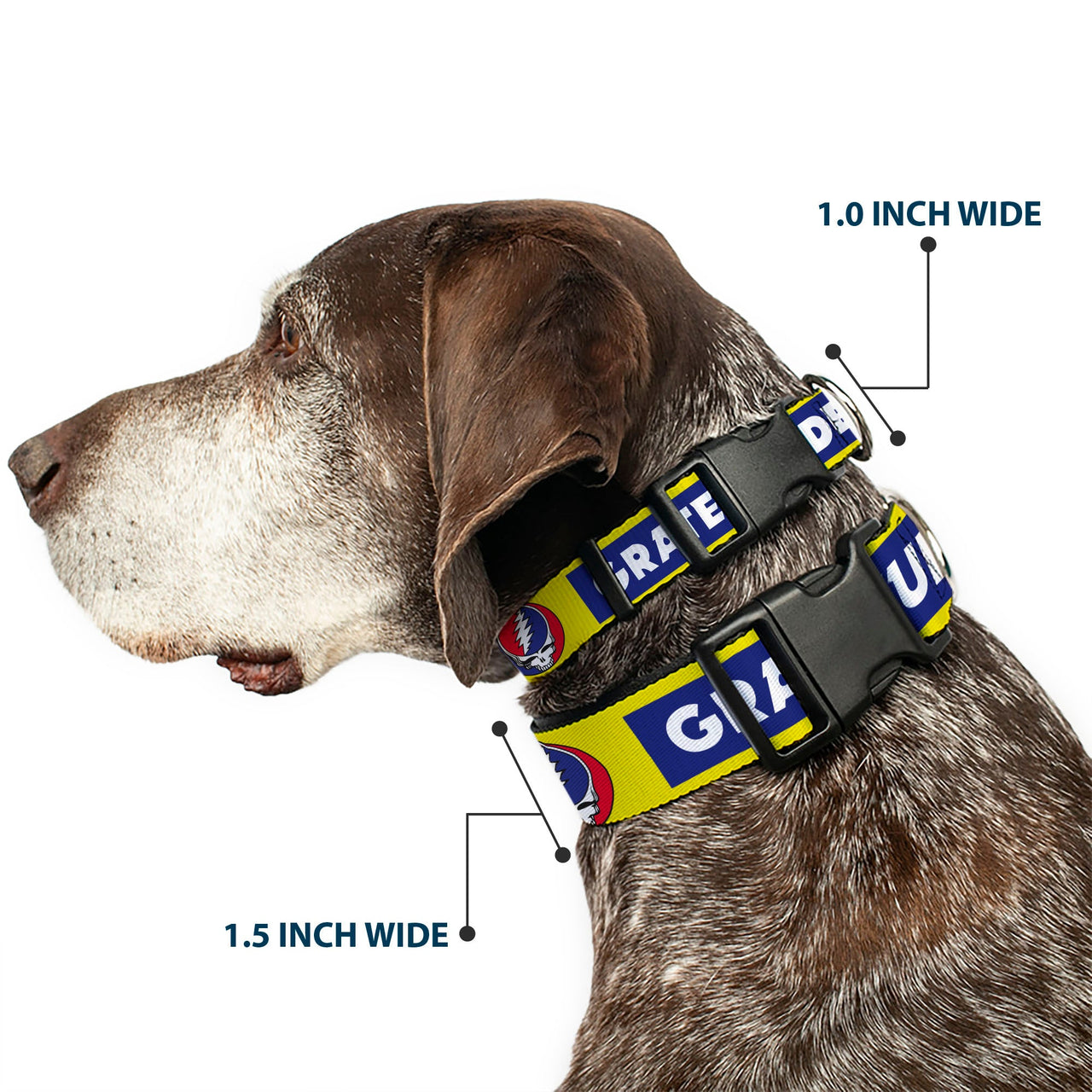 Grateful Dead Dog Collar | Blue/Yellow Text + Steal Your Face