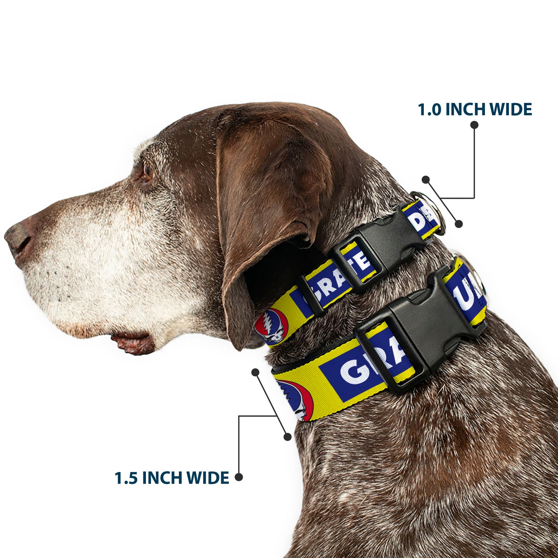 Grateful Dead Dog Collar | Blue/Yellow Text + Steal Your Face