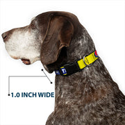 Grateful Dead Dog Collar | Blue/Yellow Text + Steal Your Face