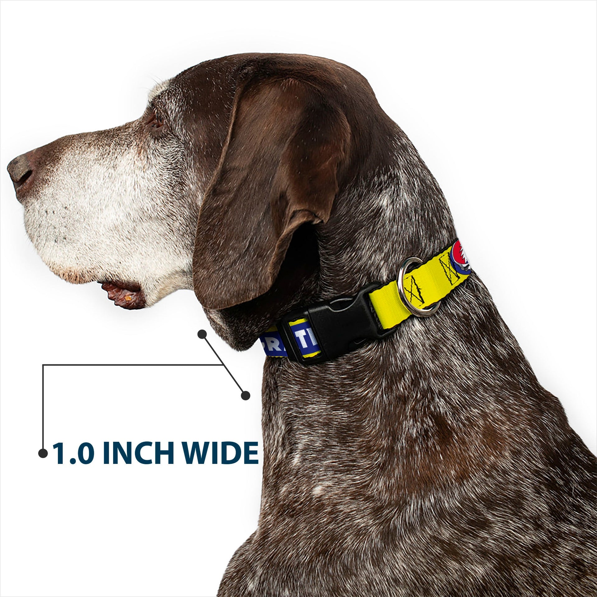 Grateful Dead Dog Collar | Blue/Yellow Text + Steal Your Face