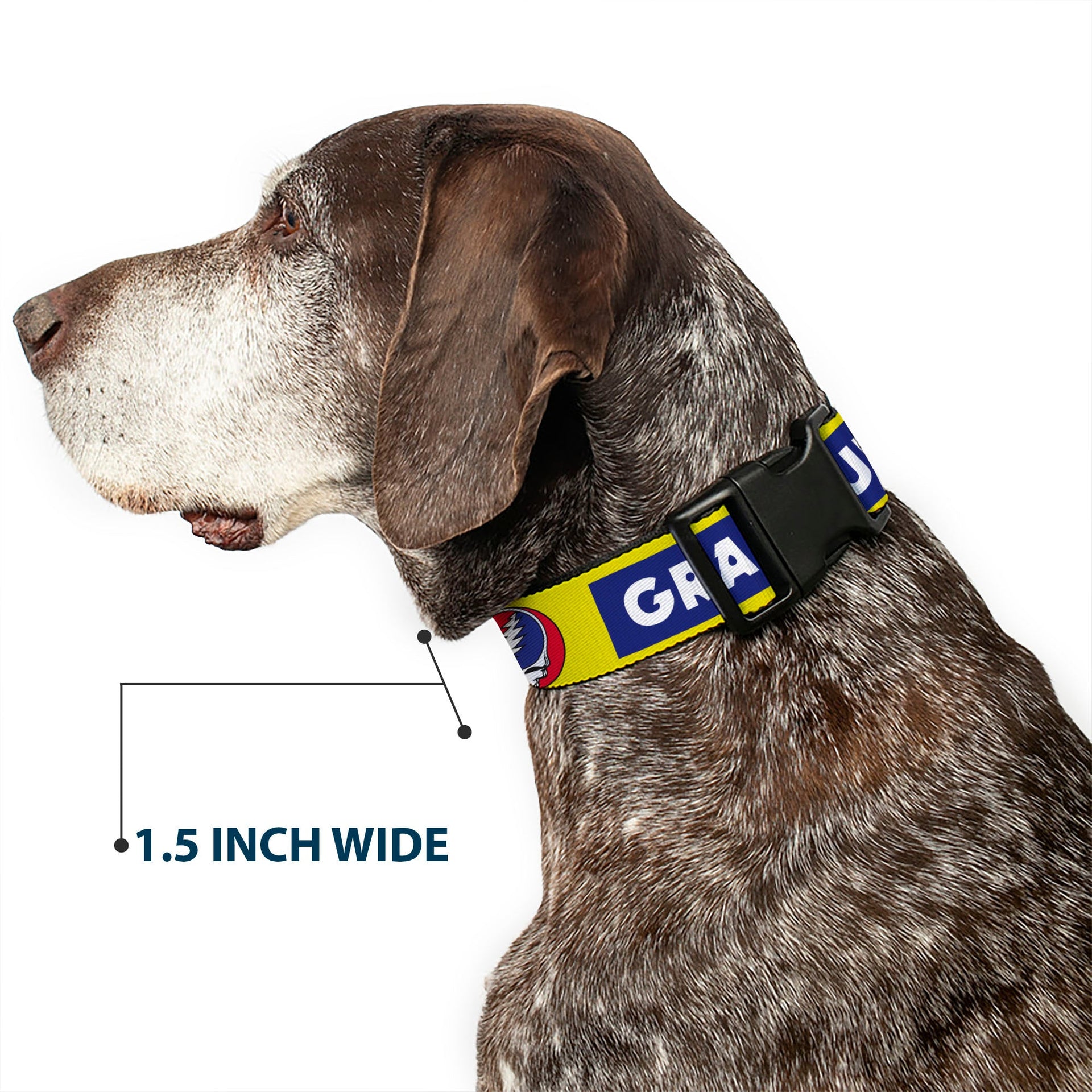 Grateful Dead Dog Collar | Blue/Yellow Text + Steal Your Face