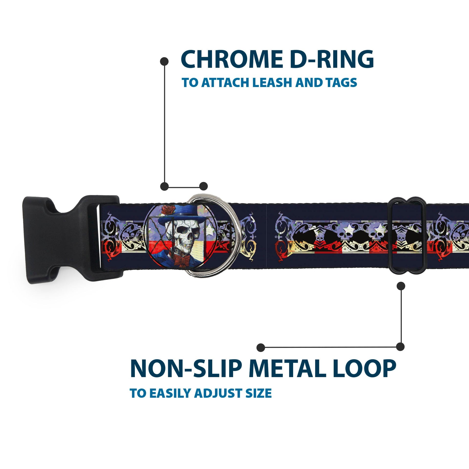 Grateful Dead Dog Collar | Dave's Picks Skeleton Art