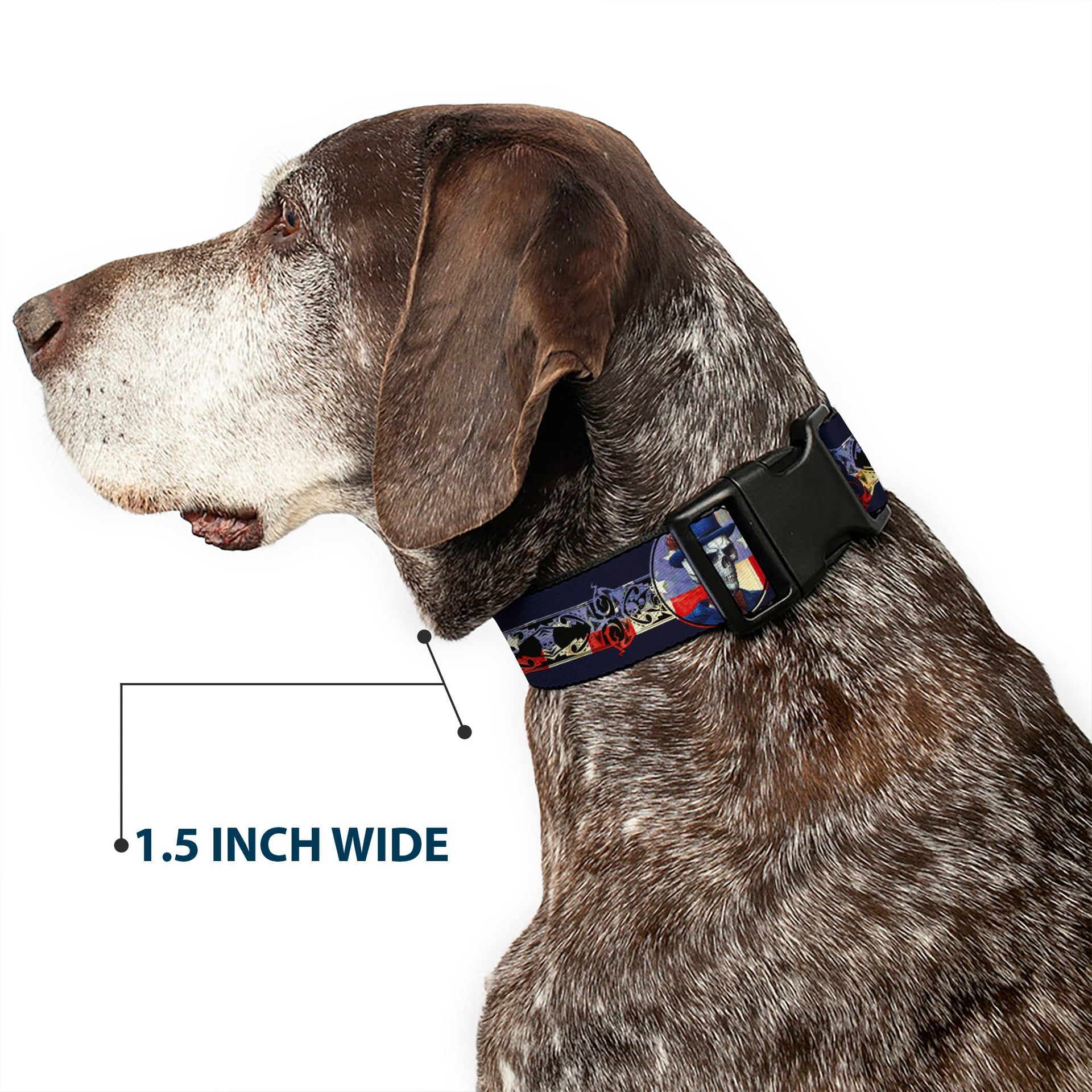 Grateful Dead Dog Collar | Dave's Picks Skeleton Art