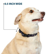 Grateful Dead Dog Collar | Dave's Picks Skeleton Art