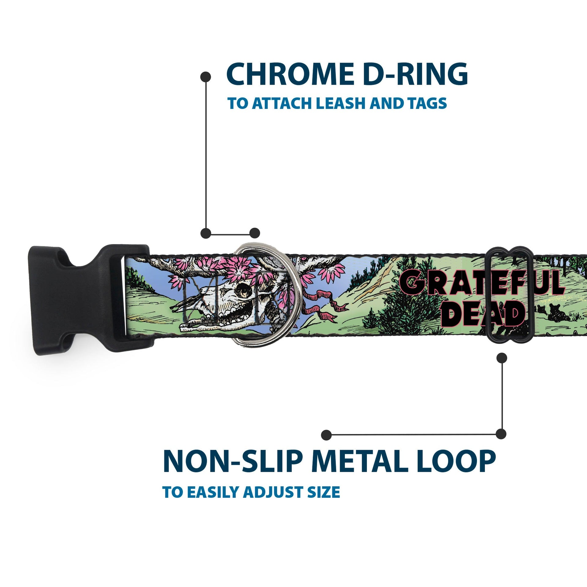 Grateful Dead Dog Collar | Dave's Picks Vol. 9 Art