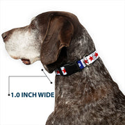 Grateful Dead Dog Collar | "Good Ol' Grateful Dead" Text