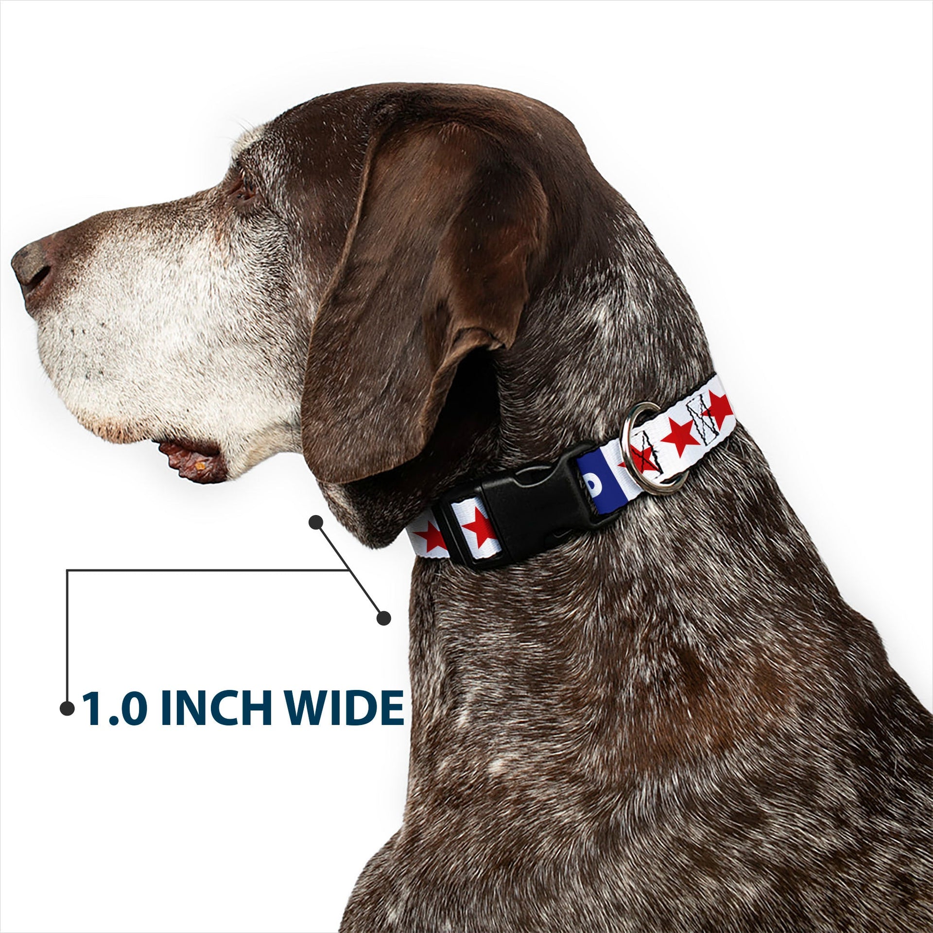 Grateful Dead Dog Collar | "Good Ol' Grateful Dead" Text