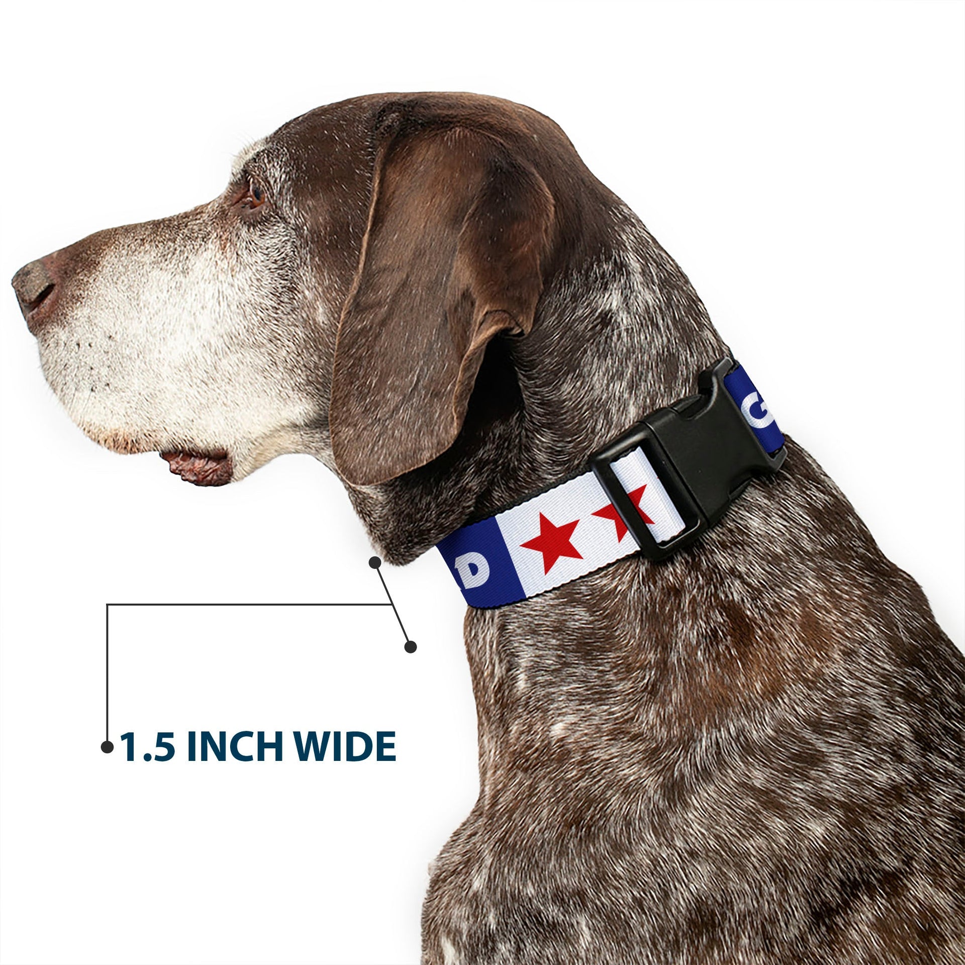 Grateful Dead Dog Collar | "Good Ol' Grateful Dead" Text