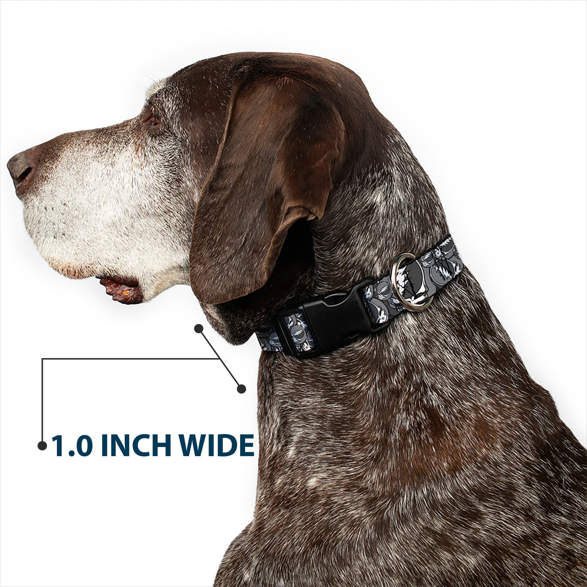 Grateful Dead Dog Collar | Gray Steal Your Face Stacked