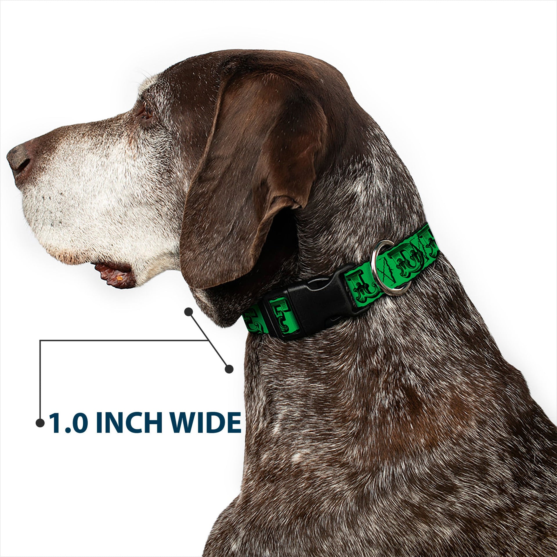 Grateful Dead Dog Collar | Green/Black Text + Skull & Roses