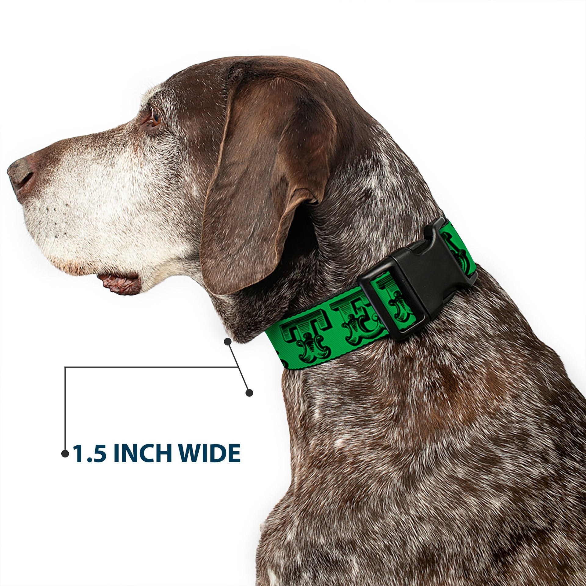 Grateful Dead Dog Collar | Green/Black Text + Skull & Roses