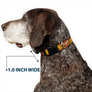 Grateful Dead Dog Collar | Orange Sunshine Daydream