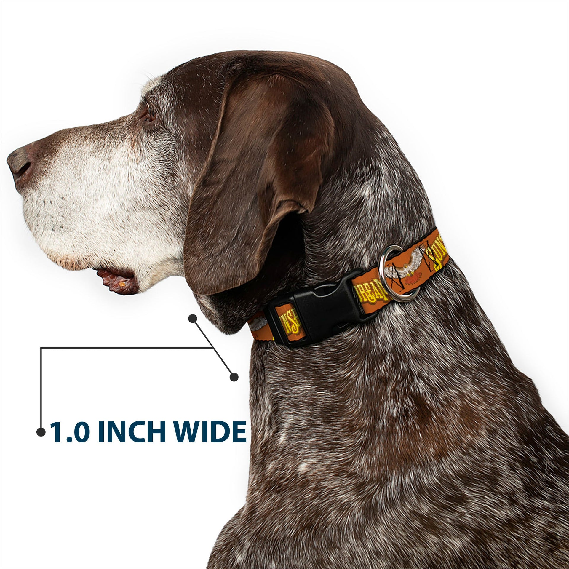 Grateful Dead Dog Collar | Orange Sunshine Daydream