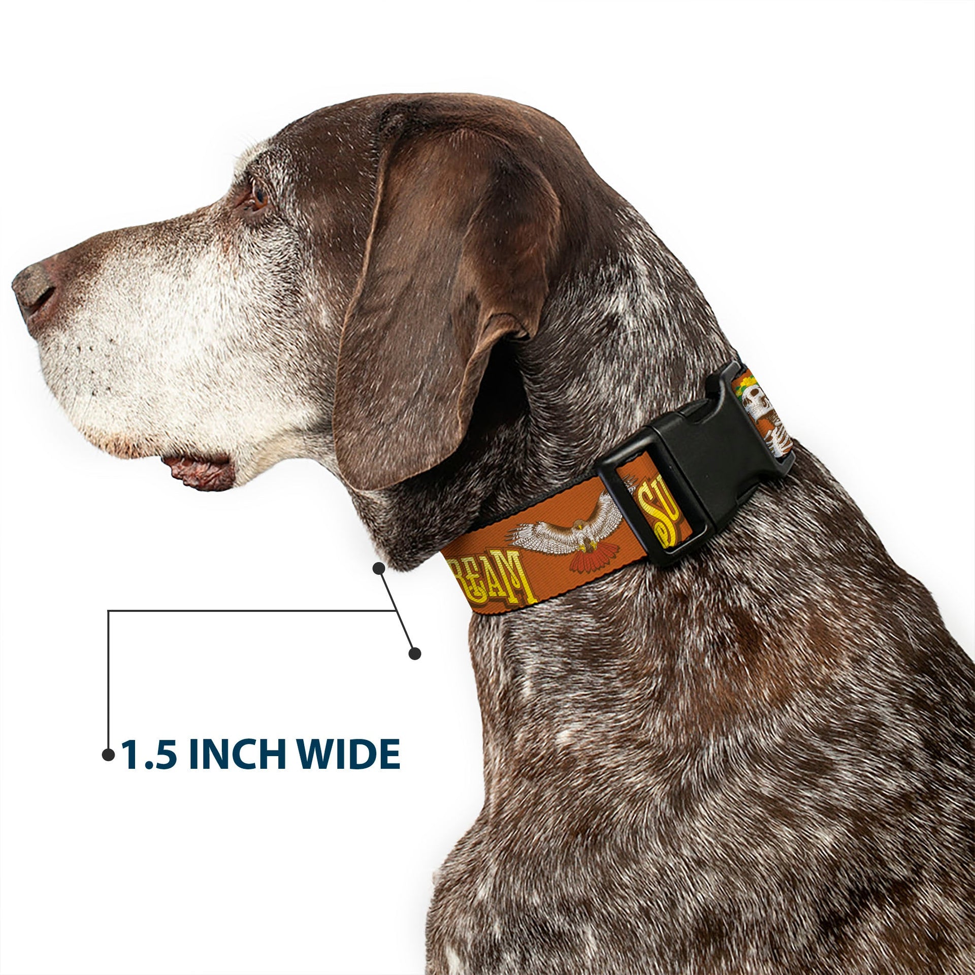 Grateful Dead Dog Collar | Orange Sunshine Daydream