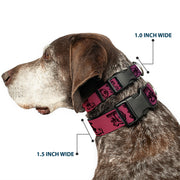 Grateful Dead Dog Collar | Rainbow Fade Text + Skull & Roses