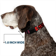Grateful Dead Dog Collar | Rainbow Fade Text + Skull & Roses
