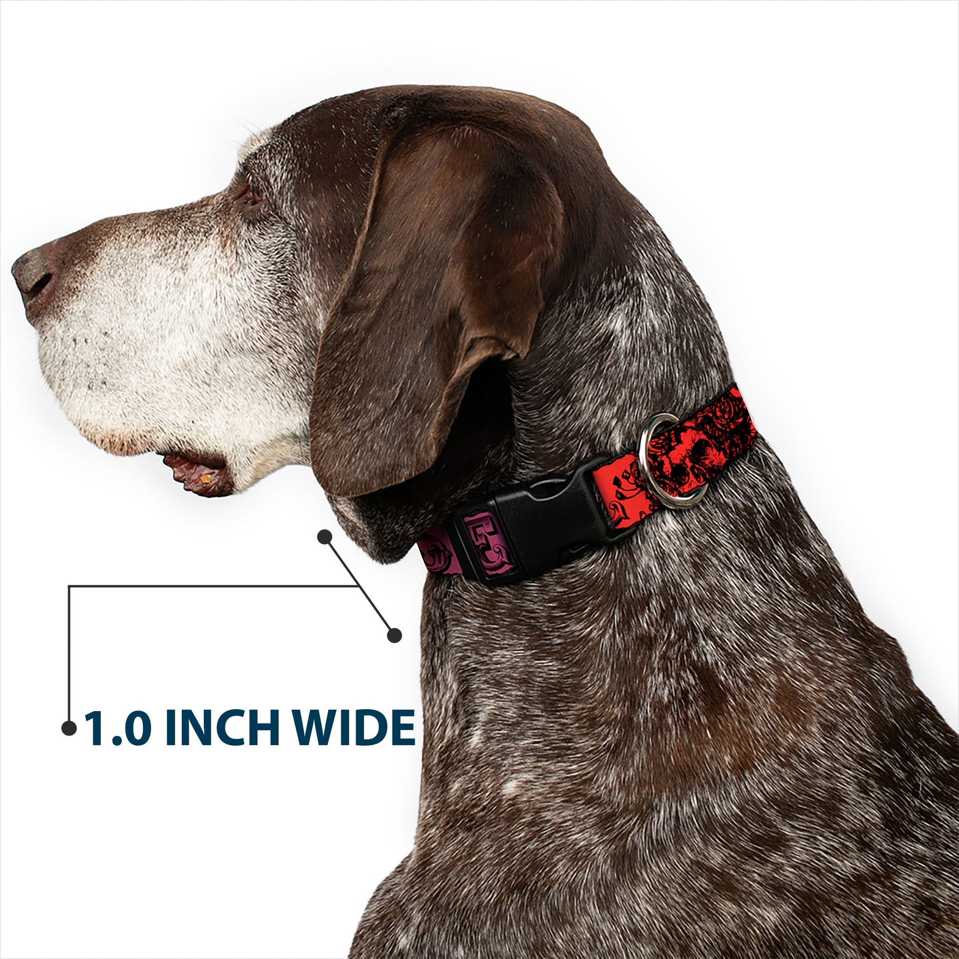 Grateful Dead Dog Collar | Rainbow Fade Text + Skull & Roses