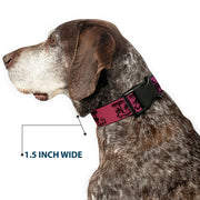 Grateful Dead Dog Collar | Rainbow Fade Text + Skull & Roses
