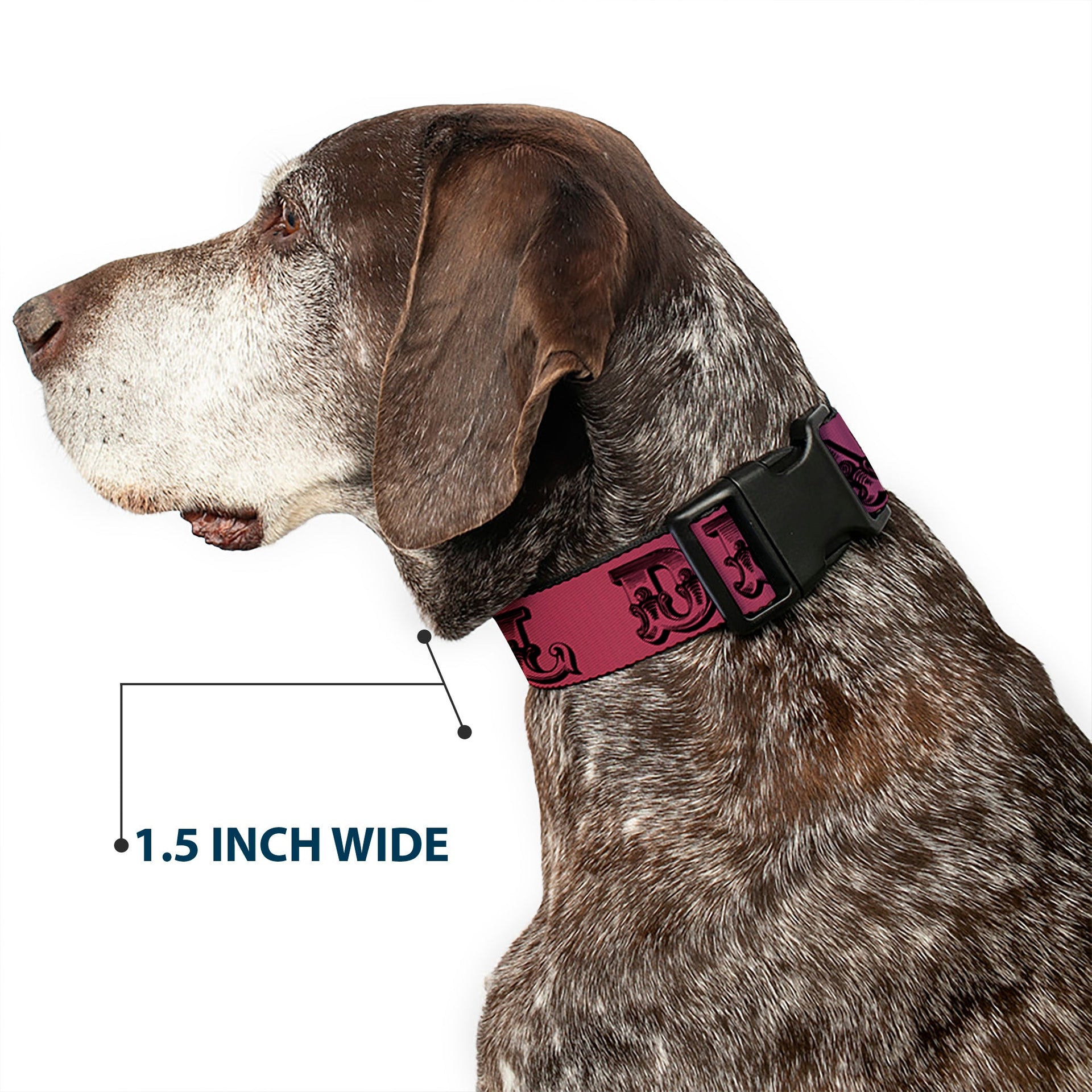 Grateful Dead Dog Collar | Rainbow Fade Text + Skull & Roses