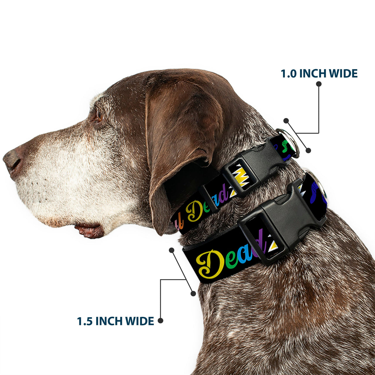 Grateful Dead Dog Collar | Rainbow Script Text with Dancing Bears + Skeletons
