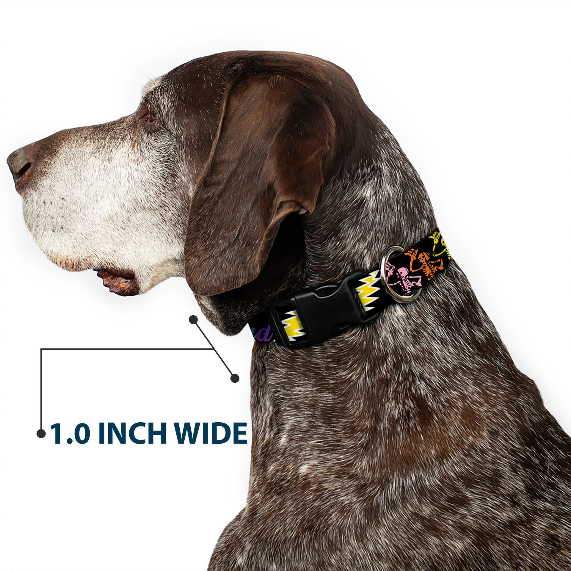 Grateful Dead Dog Collar | Rainbow Script Text with Dancing Bears + Skeletons