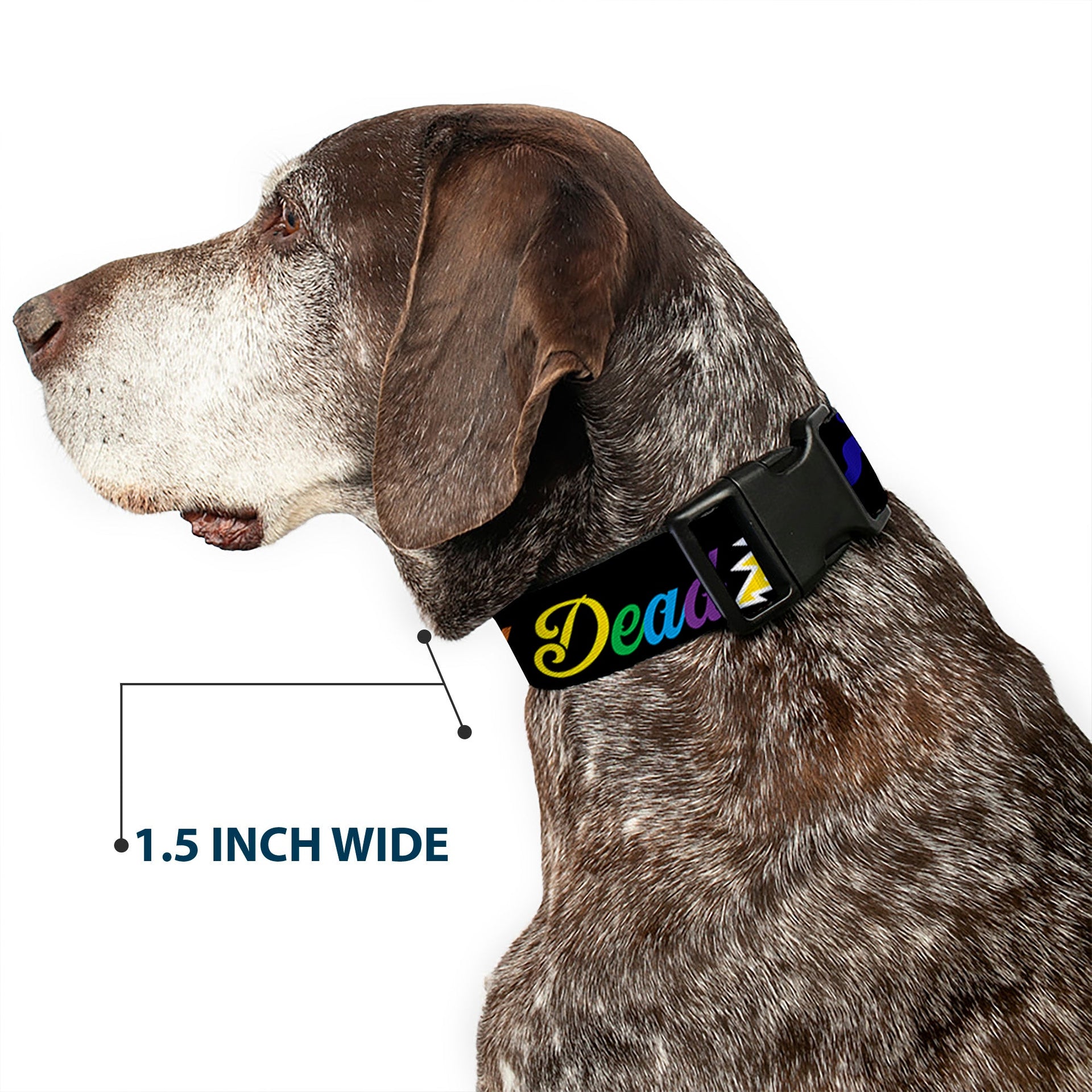 Grateful Dead Dog Collar | Rainbow Script Text with Dancing Bears + Skeletons