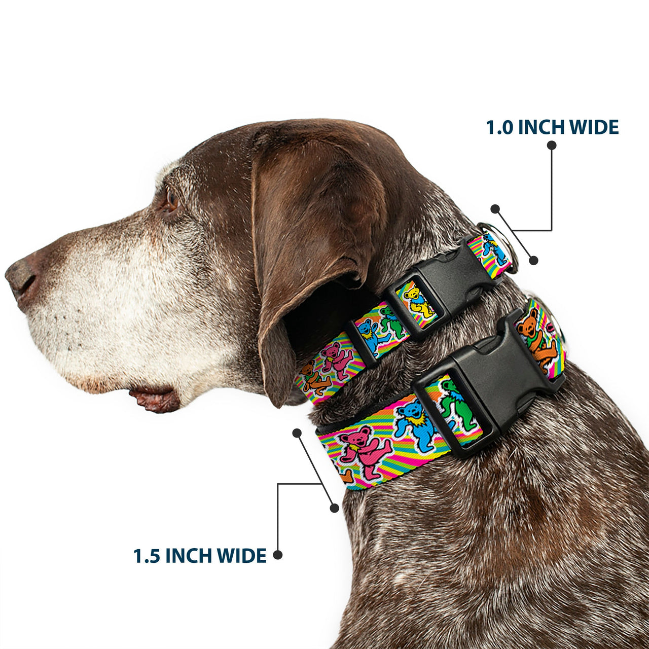 Grateful Dead Dog Collar | Rainbow Tie Dye Swirl Dancing Bears