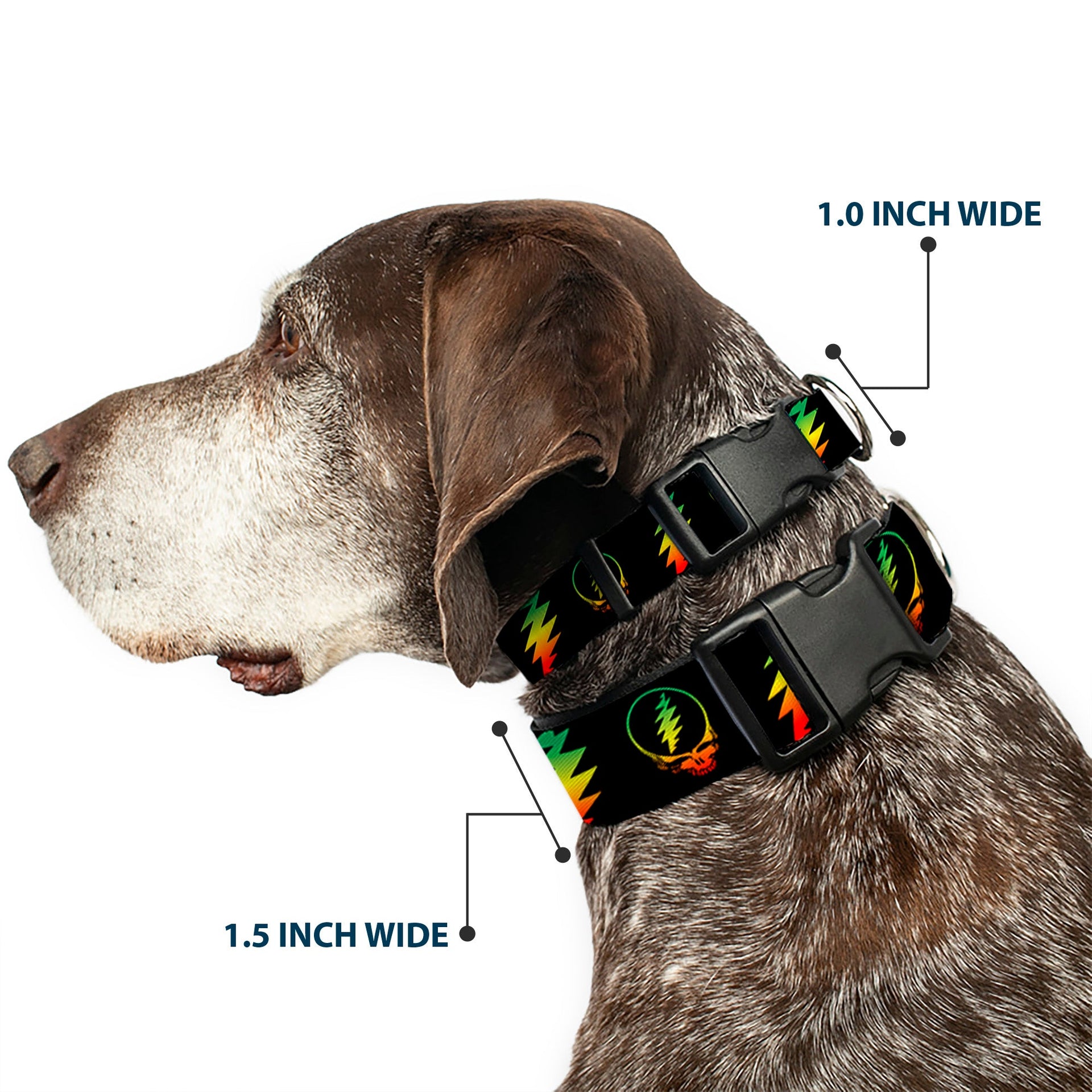 Grateful Dead Dog Collar | Rasta Steal Your Face + Lightning Bolts