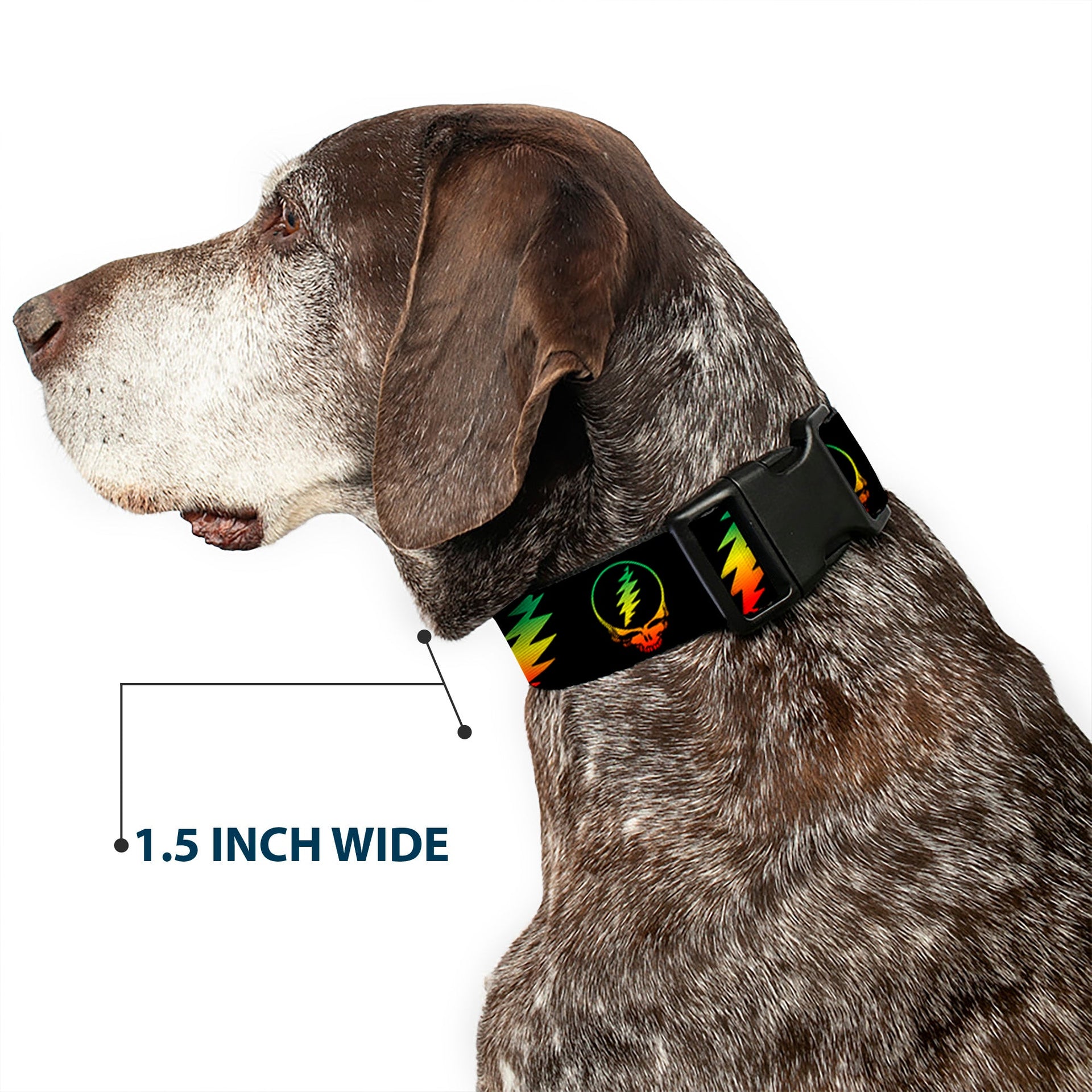 Grateful Dead Dog Collar | Rasta Steal Your Face + Lightning Bolts